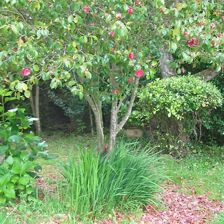 El Paraiso Holiday home